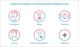 Causes Of Hearing Loss – Al Barakat Hearing Care Center